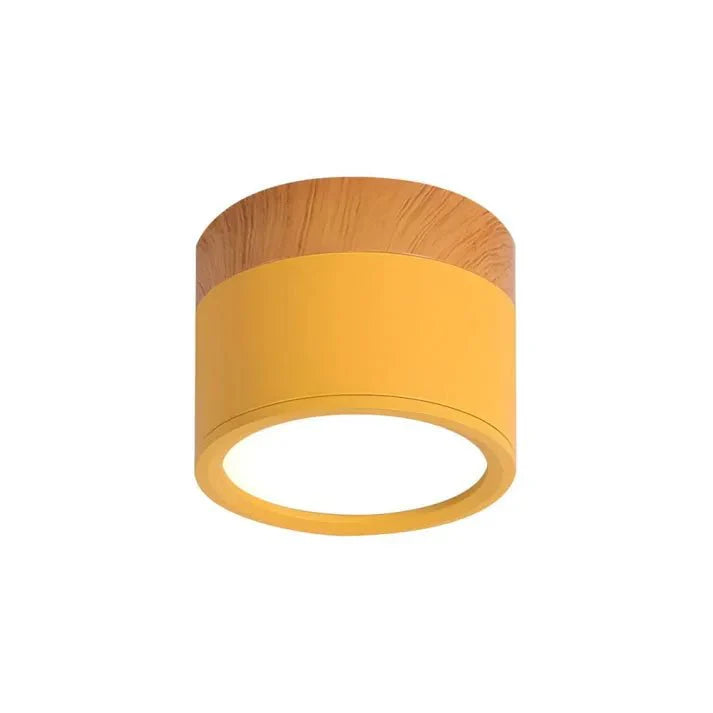 Nordyckie cylindryczne lampy sufitowe LED do korytarzy
