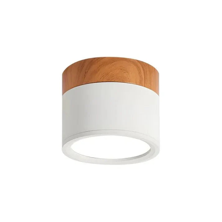 Nordyckie cylindryczne lampy sufitowe LED do korytarzy