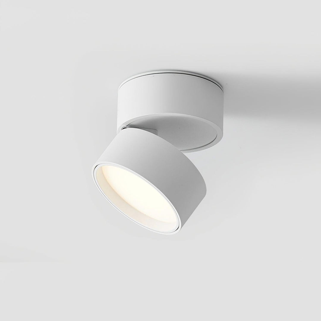 Lampa sufitowa Favilla Oppervlakte