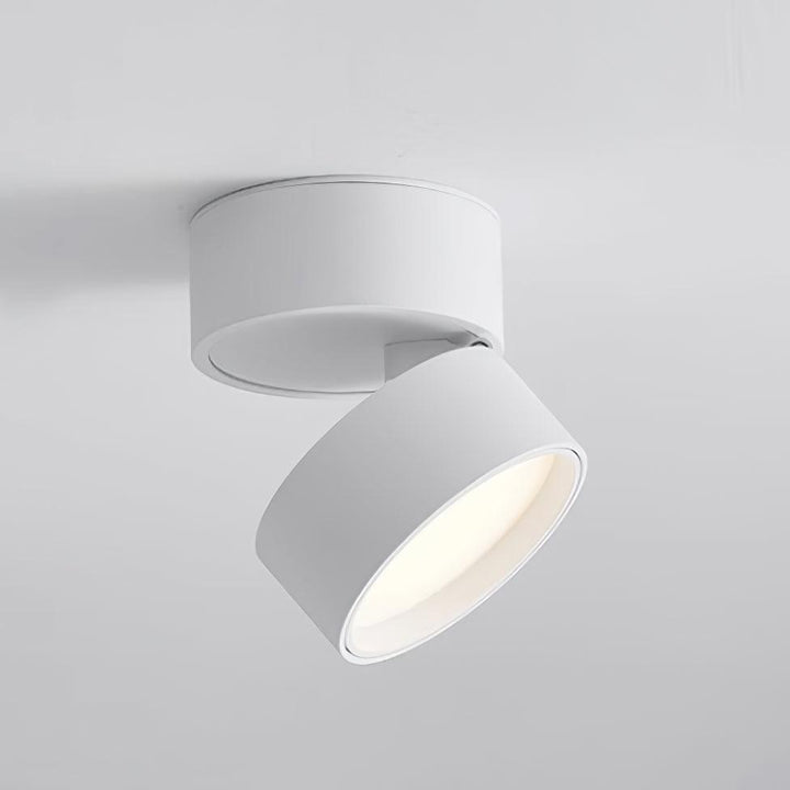 Lampa sufitowa Savvina