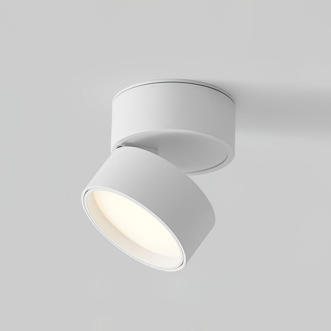Lampa sufitowa Savvina