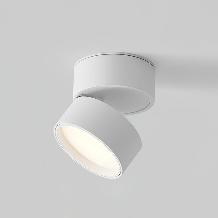 Lampa sufitowa Favilla Oppervlakte